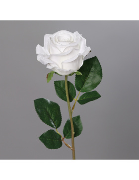 Rosenknospe , 56 cm, cream,
