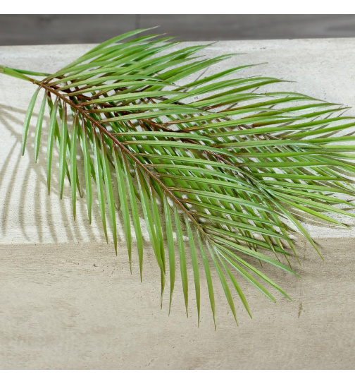 Palm-Blatt-Bündel , 72 cm,