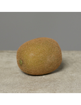 Kiwi, 7,5 cm,