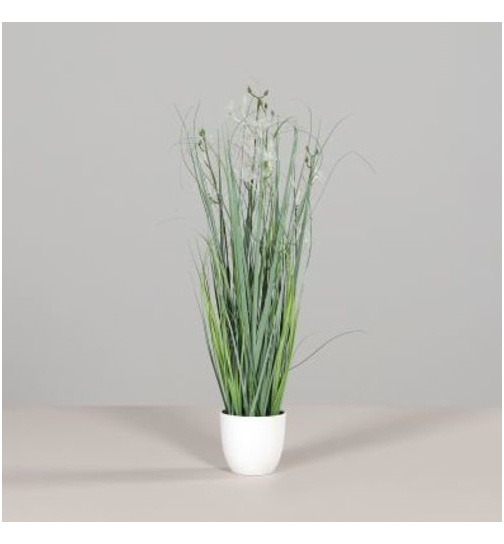 Gras mit Fruchtstamm im weißen Kunststofftopf, 71 cm,