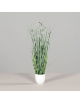 Gras mit Fruchtstamm im weißen Kunststofftopf, 71 cm,