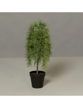Fichten-Baum im Kunststofftopf, 45 cm