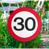30. Geburtstag Gartenstecker Verkehrsschild - 26x52 cm