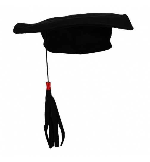 Doktorhut Schul- / Uniabschluss