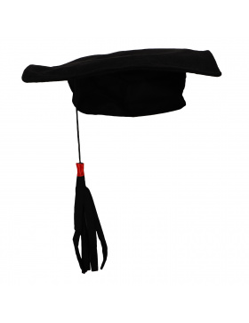 Doktorhut Schul- / Uniabschluss