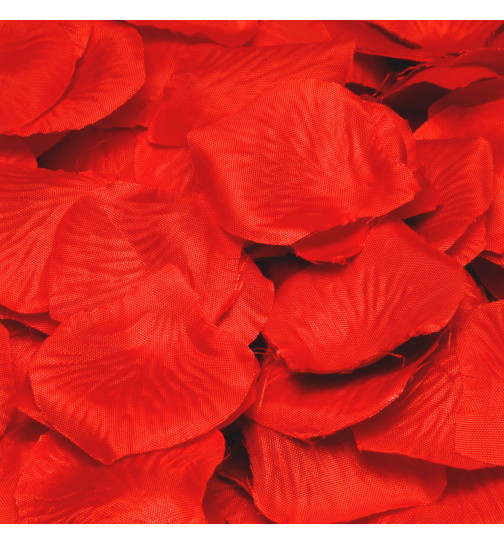 Luxuriöse rote Rosenblätter