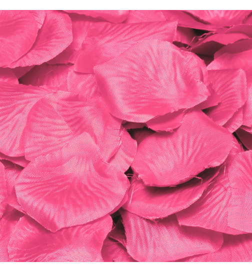 Luxuriöse rosa Rosenblätter