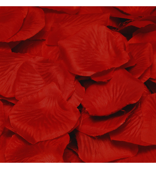 Luxuriöse dunkelrote Rosenblätter