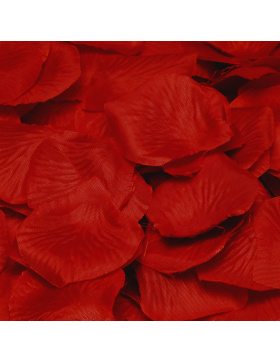 Luxuriöse dunkelrote Rosenblätter