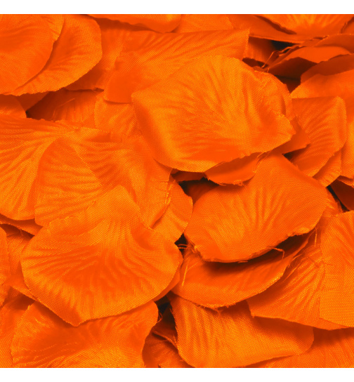 Luxuriöse orangefarbene Rosenblätter