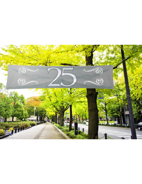 Silberhochzeit / 25. Geburtstag Spruchband 180x40 cm