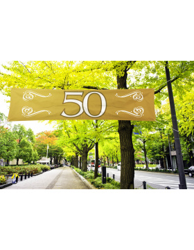 Goldhochzeit / 50. Geburtstag Spruchband Gold - 180x40 cm