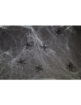 Spinnennetz mit 6 Spinnen - 100 g