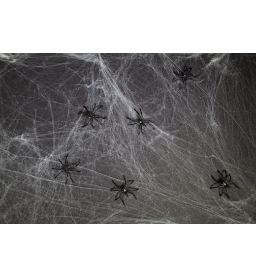 Spinnennetz mit 6 schwarzen Spinnen - 500 g