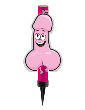 Kategorie F1 Feuerwerk Fontäne...