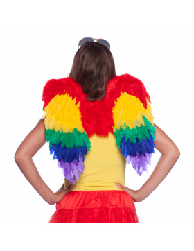 Engelsflügel Regenbogen