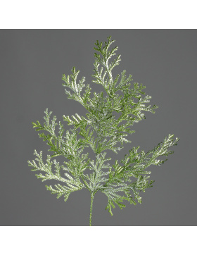 Silberblatt, 52 cm, green