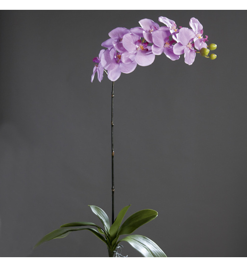 Orchidee Phalaenopsis mit Blatt, 100 cm, lavender