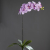 Orchidee Phalaenopsis mit Blatt, 100 cm, lavender